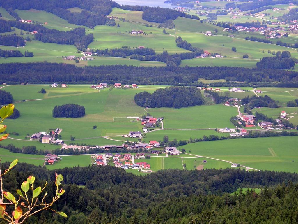 Bauernhof Kinderparadies Bachbauer Mondsee