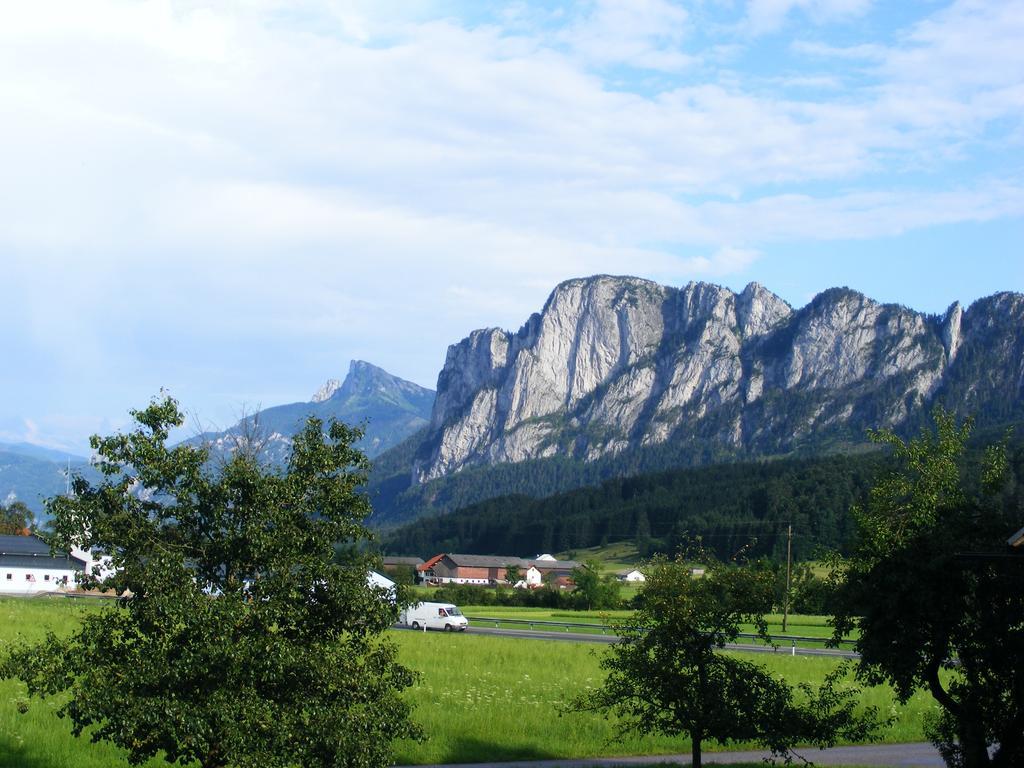 Bauernhof Kinderparadies Bachbauer