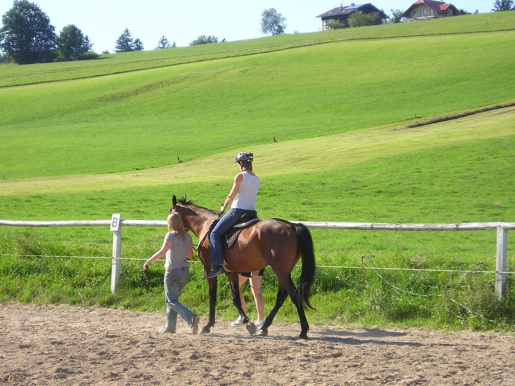 Bauernhof Kinderparadies Bachbauer *