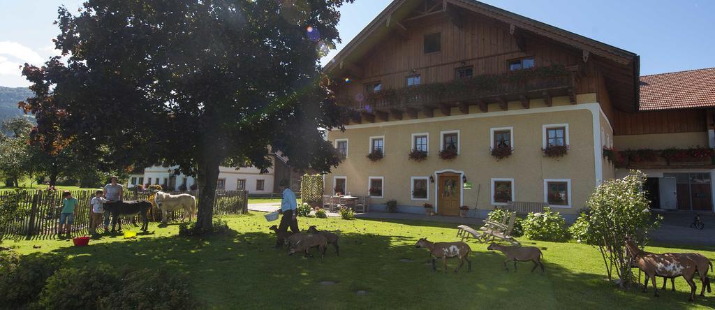 Bauernhof Kinderparadies Bachbauer Mondsee