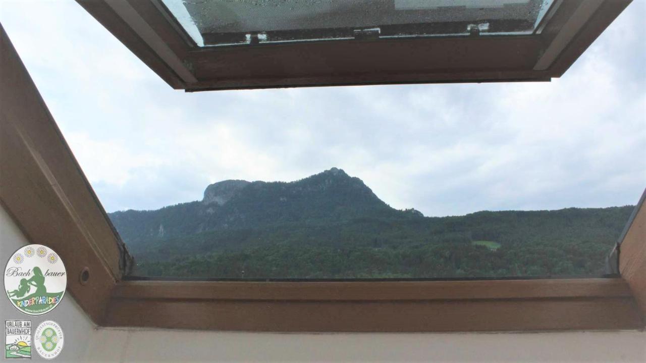Bauernhof Kinderparadies Bachbauer Mondsee